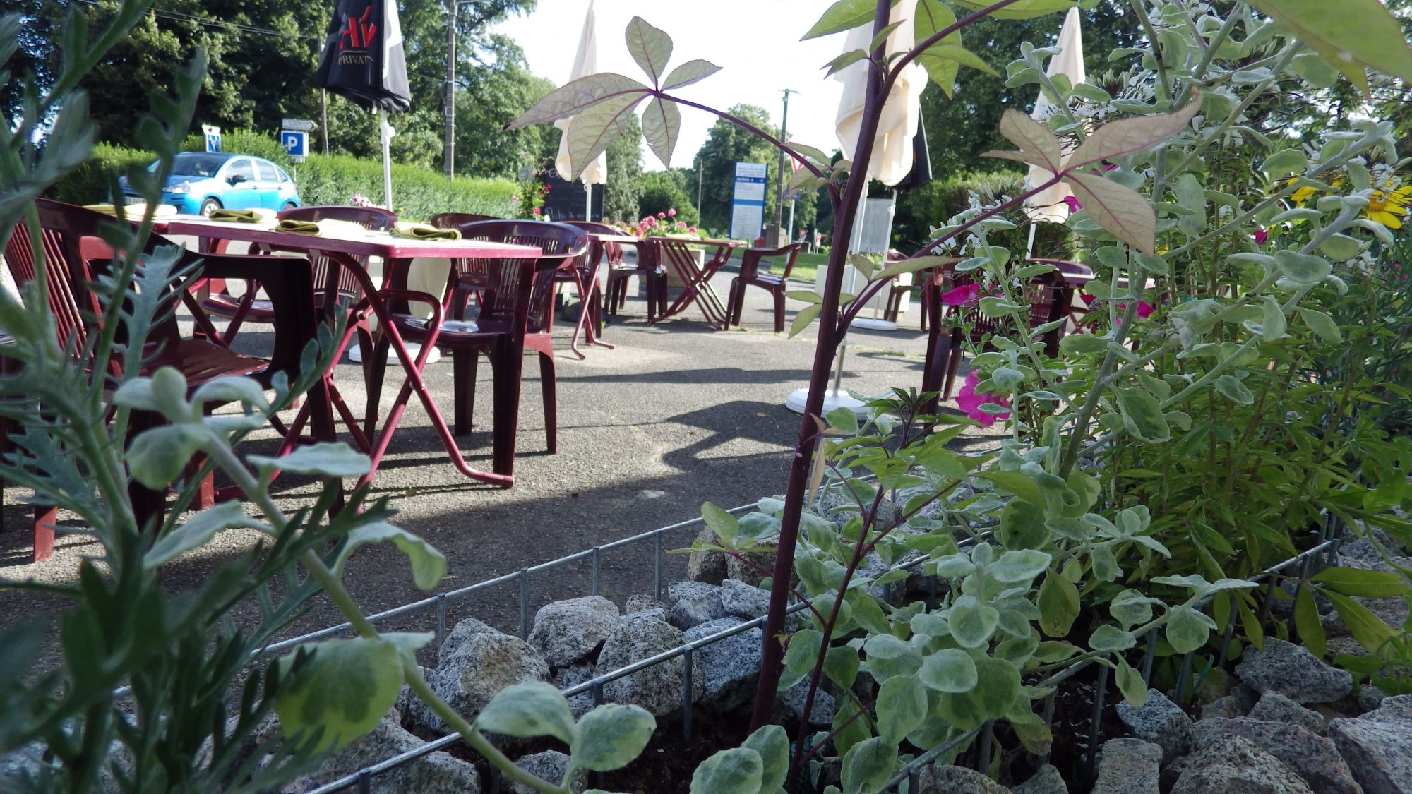 IMGP1677 | Alcove Le beau temps est là, le terrasse aussi. Wittelsheim