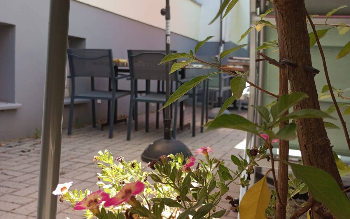TERRA4 1200X750 | Alcove Suggestions du weekend du 15 août à Alcôve près de Brunstatt Cernay