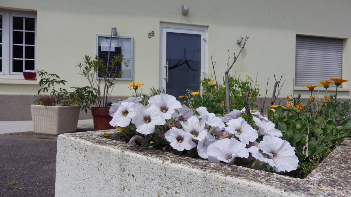 Plats &agrave; emporter &agrave; Alc&ocirc;ve &agrave; 5  min d’Altkirch et 2 min d’Illfurth Pfastatt