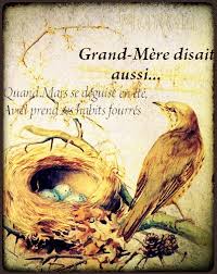 Bonne f&ecirc;tes aux grands m&egrave;res Mulhouse