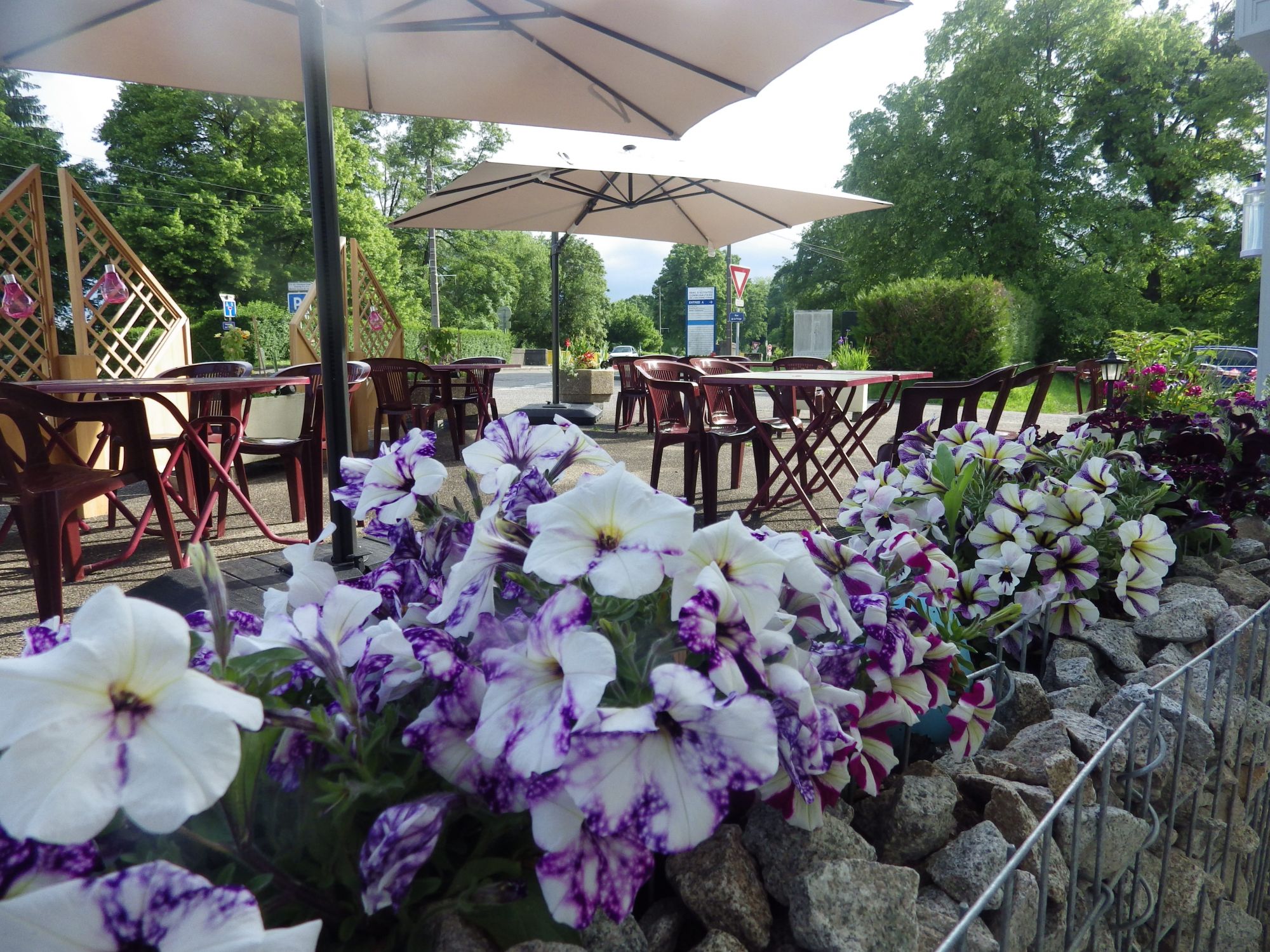 IMGP1774 | Alcove Restaurant L’Alcôve : 20 ans d’expertise et de passion pour la cuisine Illzach