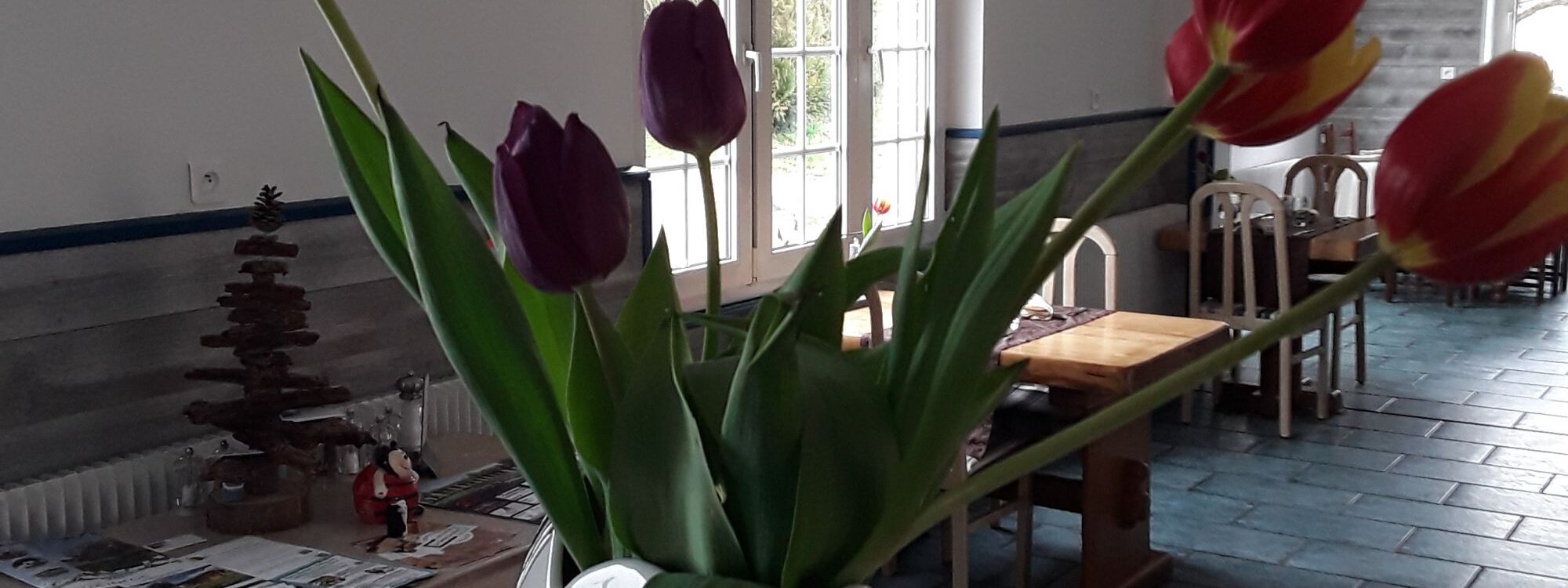 Fermeture exceptionnelle mardi 31 mai Riedisheim