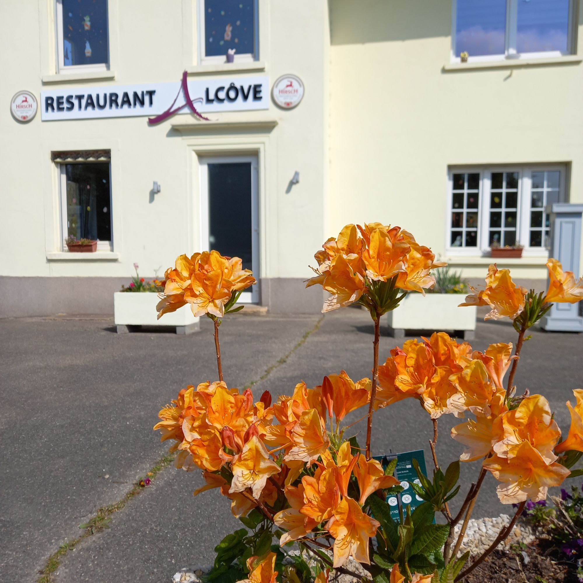 Fermeture exceptionnelle mardi 31 mai Riedisheim 0