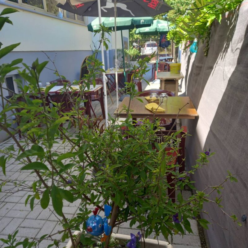 Notre Terrasse ouverte quand le soleil montre le bout de son nez Mulhouse 6