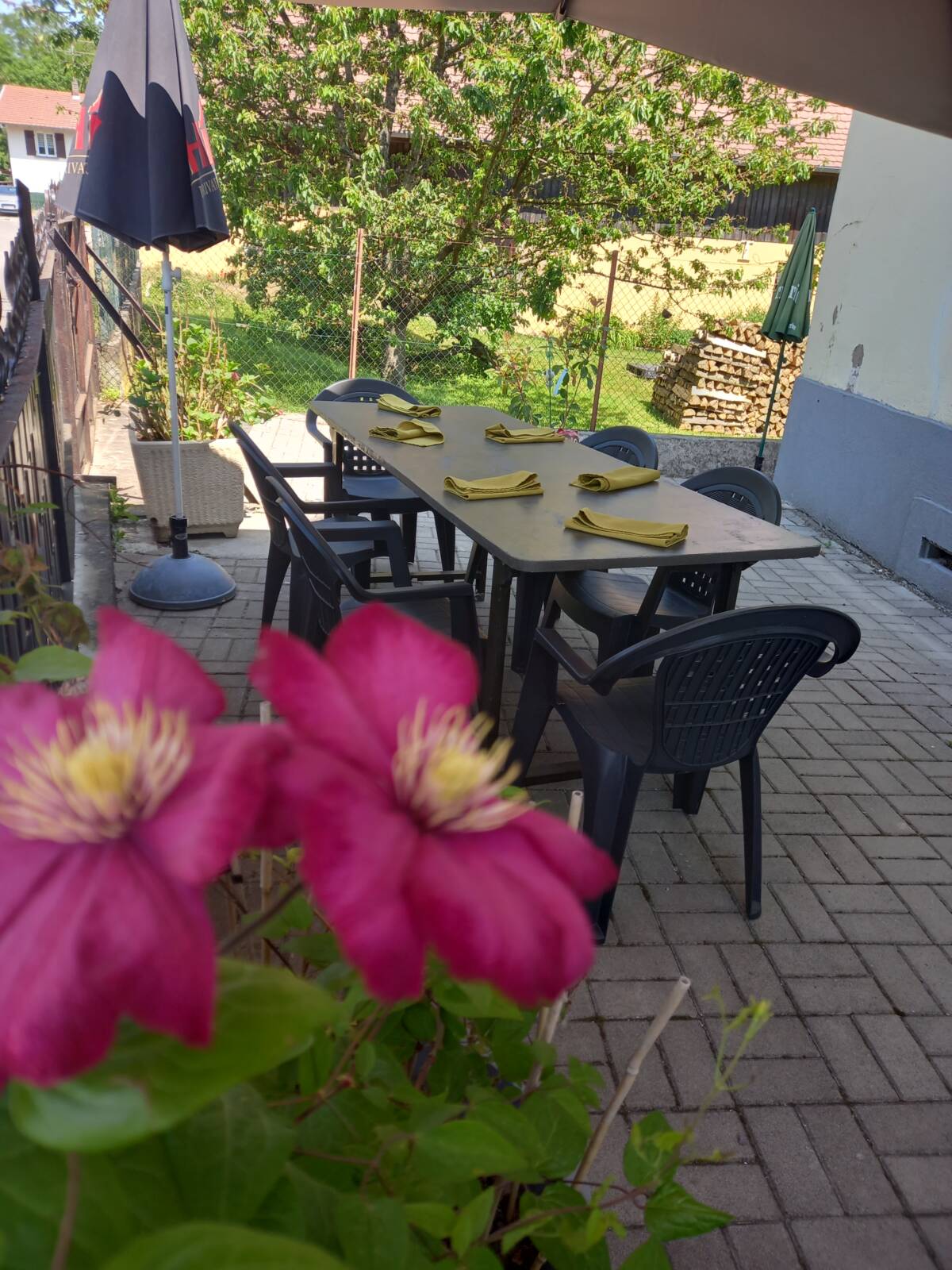 TERRASSE | Alcove Nouvelle carte à jour Saint-Louis