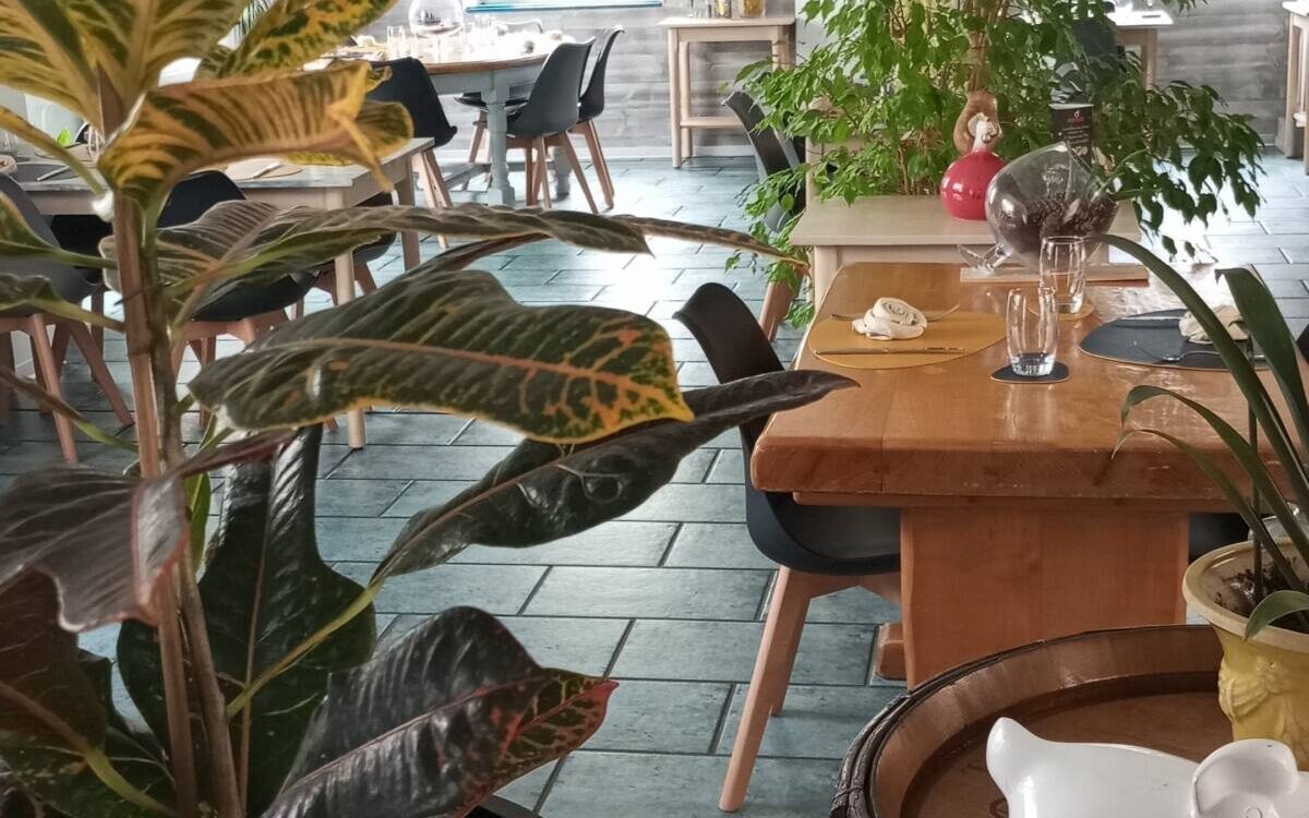 Dernier weekend avant No&euml;l &agrave; Alc&ocirc;ve pr&egrave;s de Dannemarie Wittelsheim