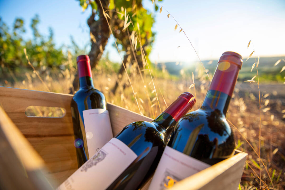 BOURGOGNE | Alcove La carte des vins à Alcôve Cernay 7