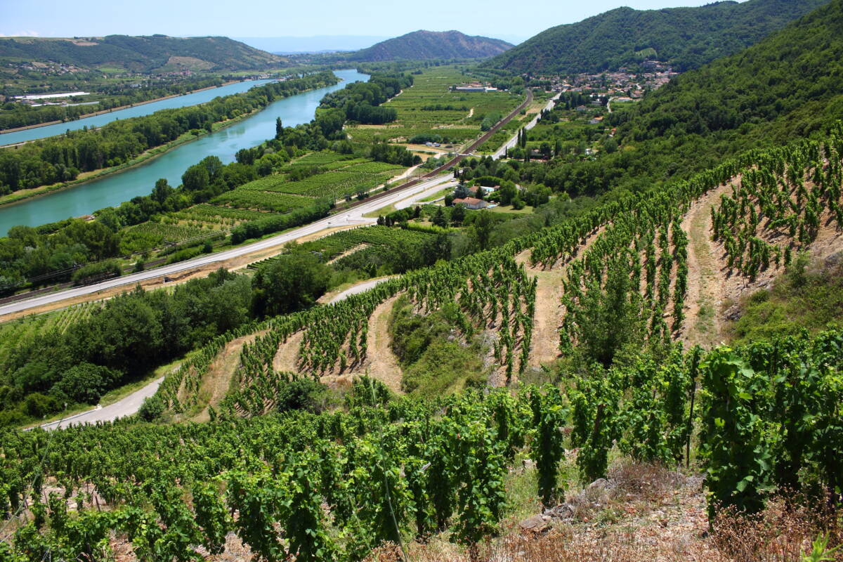 RHONE | Alcove La carte des vins à Alcôve Kingersheim 10