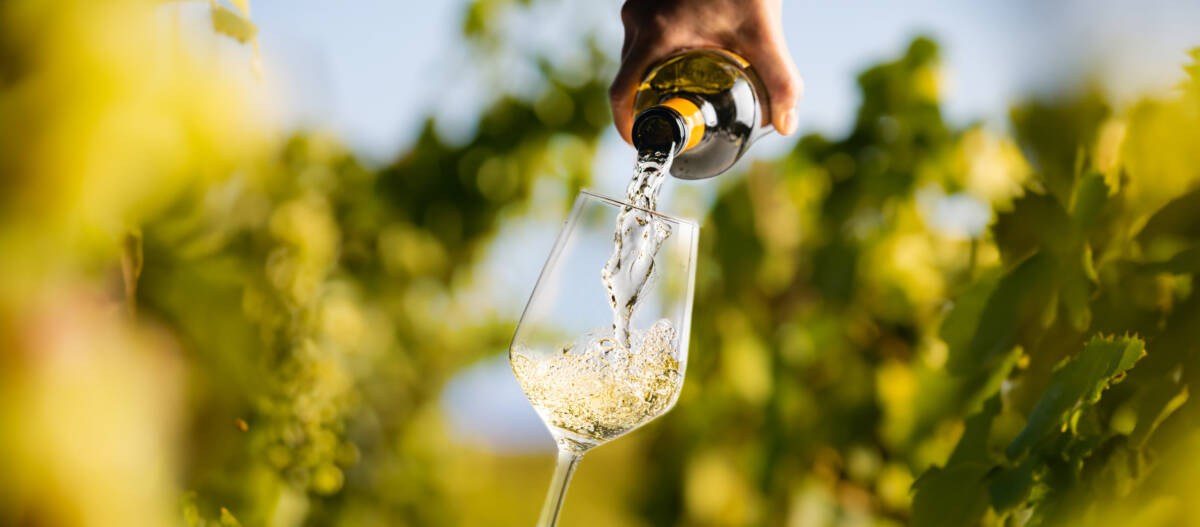 VINBLANC | Alcove La carte des vins à Alcôve Wittelsheim 11